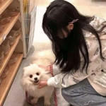 果盘同人精忠报国岳飞传手游下载